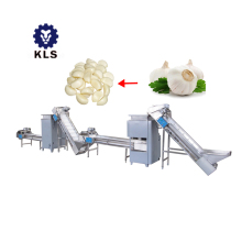KLS Garlic Processing Line: Garlic Peeling Machine for Large-Scale Production