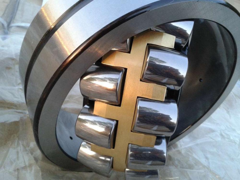 Two Row Roller Bearing