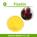 Extracto de árbol de humo farmacéutico Fisetin 98% HPLC Powder