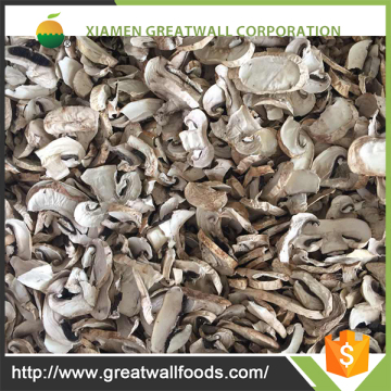 lower price dried champignon mushroom slice