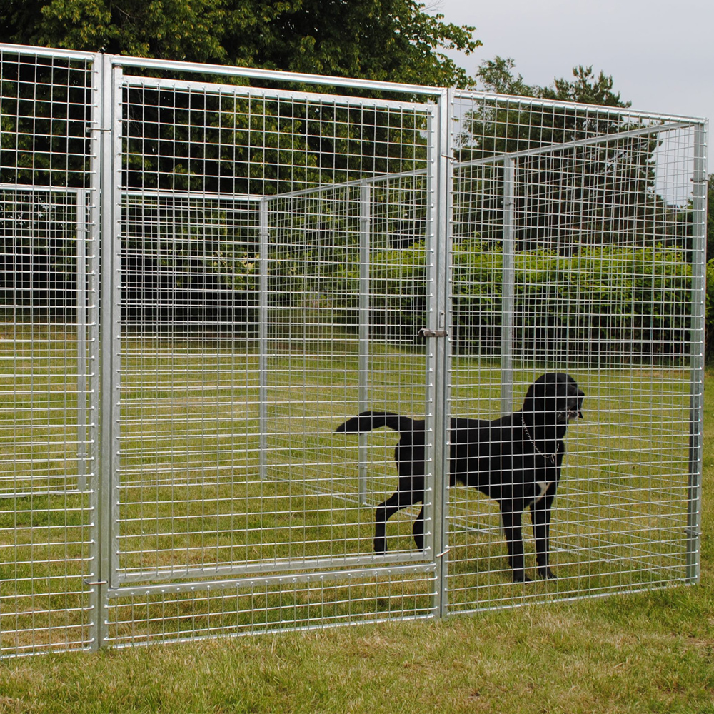 Big Dog Kennels For Outside