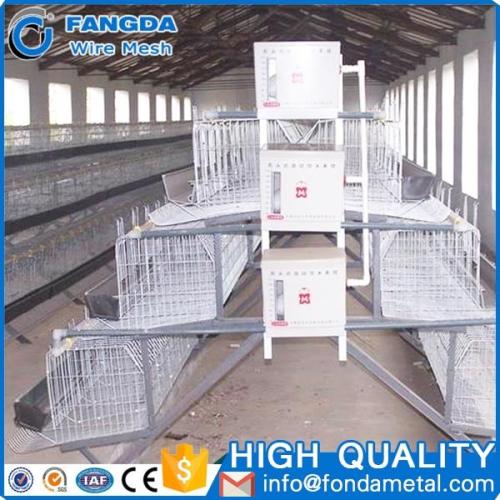 African poultry house design broiler 4 tier chicken layer battery cage