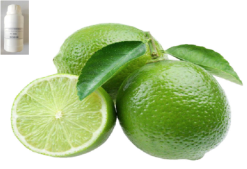 Lime Fragrance