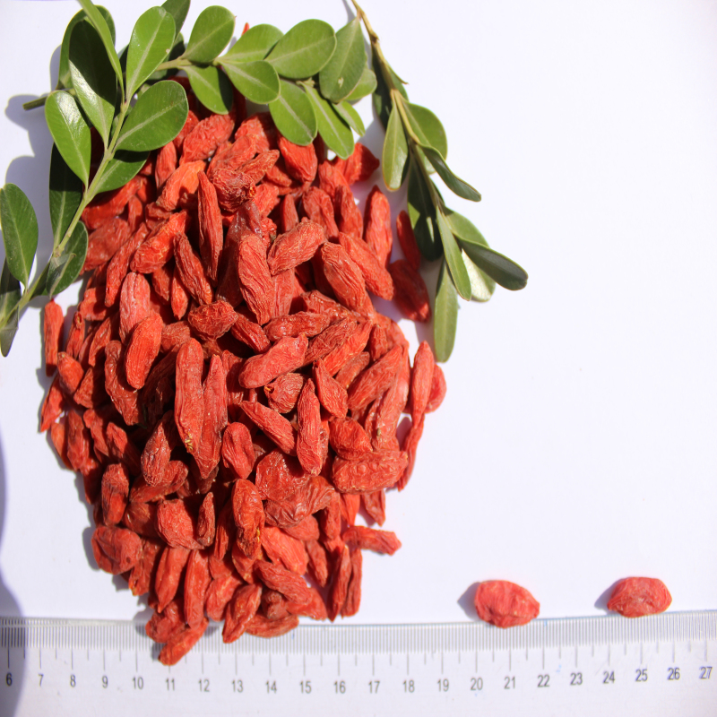ตัวอย่างราคาต่ำสุดของธรรมชาติ Dried Goji Berry