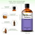 Wholesale 100% Pure Therapeutic Grade Verbena Essential Oil