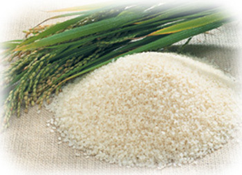 Nutrition Enhancer Rice Protein Powder 99%