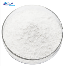 Food Additive Organic Rice Protein Powder
