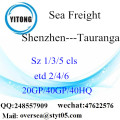 Shenzhen Port Mer Fret maritime à Tauranga