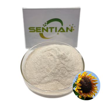 Natural vegan sunflower seed protein