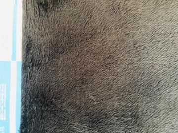 Print Mircofleece compound fleece fabric