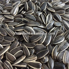 sunflower seed market price organic sunflower seeds seeds for sale
