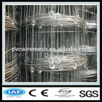 Anping hepeng company wire fencing horses