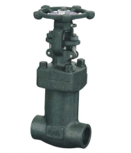 Forged Steel bellow sealed Valve