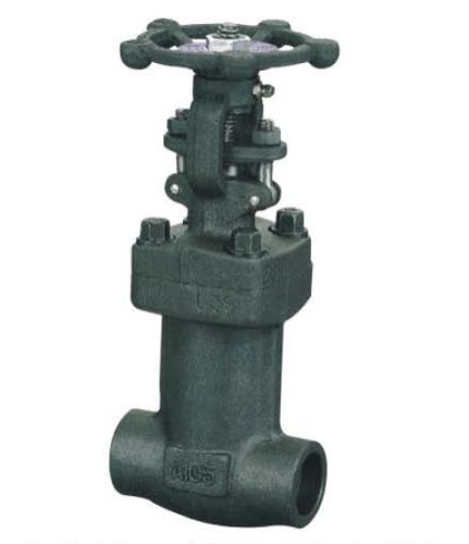 Acier forgé beuglement scellé Valve