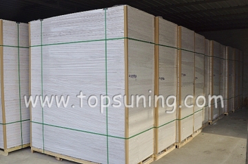 Perlite Fire Door Core (Topsuning-900X2100mm)