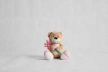 Teddy bear mother plot rose flowers bear