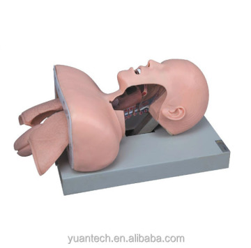 Trachea Intubation and Emergency Skills Training Manikin