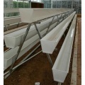 Large Size Hydroponic Growing System NTF Gully