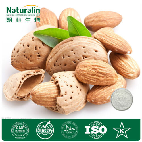 GMP Factory ISO Ceritificate Best QualityBitter Almond Extract 98%Amygdalin