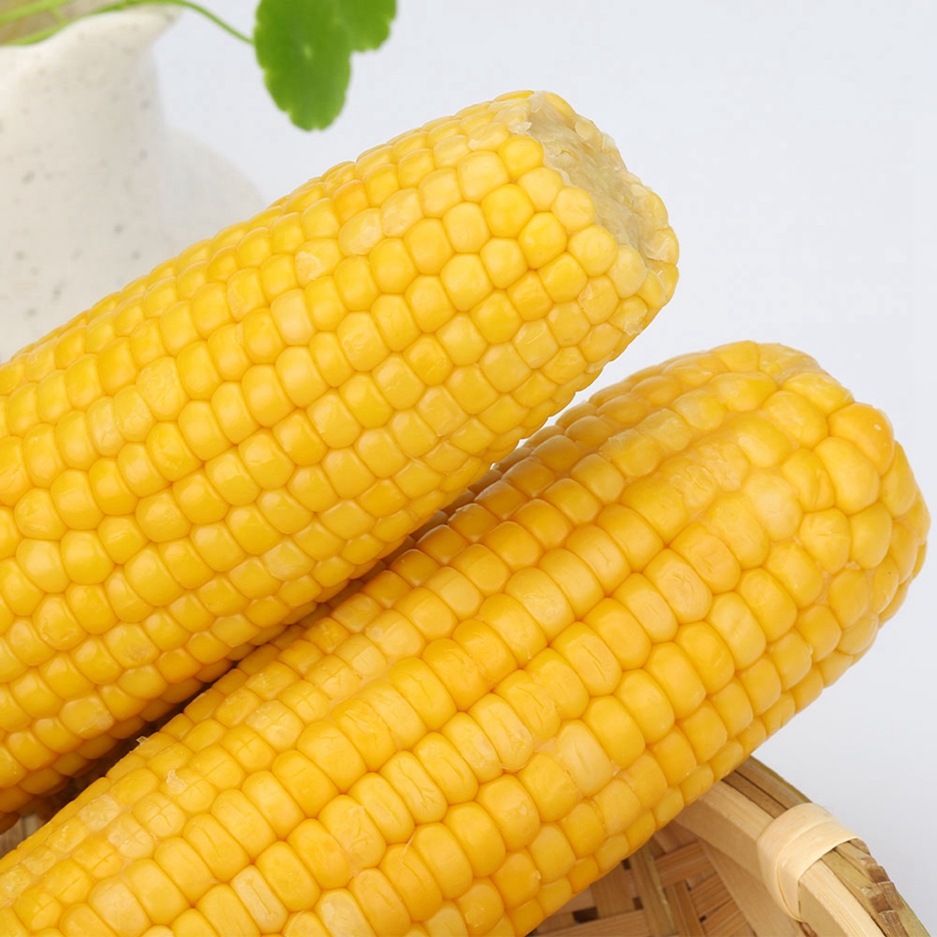 Carbs in Corn