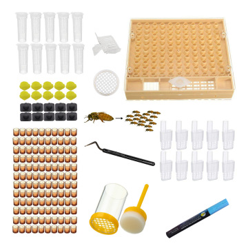 Wholesale Beekeeping Supplies: Jenter Queen Rearing System, Queen Cells, Grids, and Cage Protectors