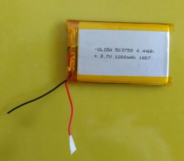 Large capacity li-po battery