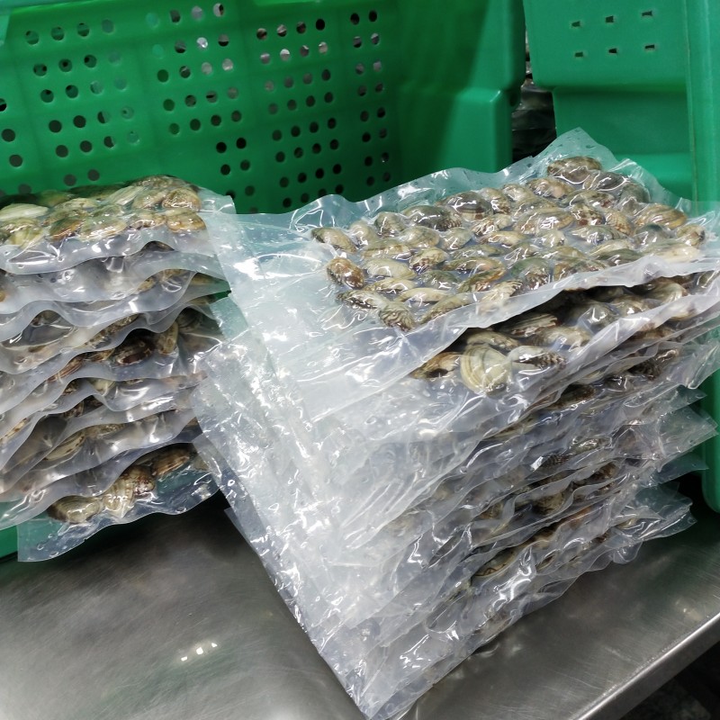 gorąca wyprzedaż zamrożona skorupa Cała małże