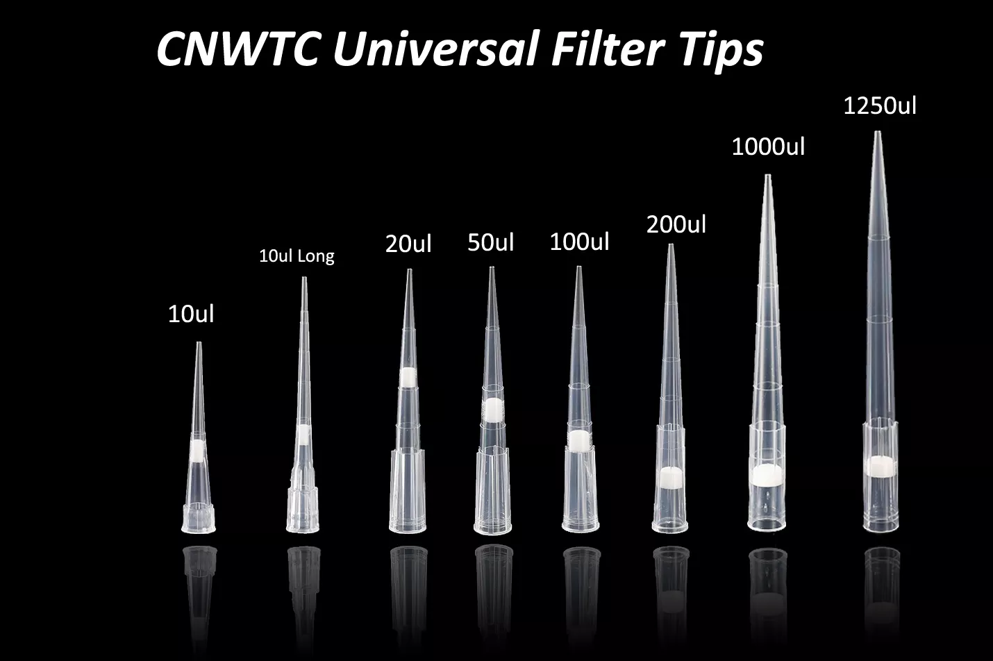Plastic Sterile 10ul 200ul 1000ul Filter Tips Micro Pipette Tips DNase RNase Free Filter Tip