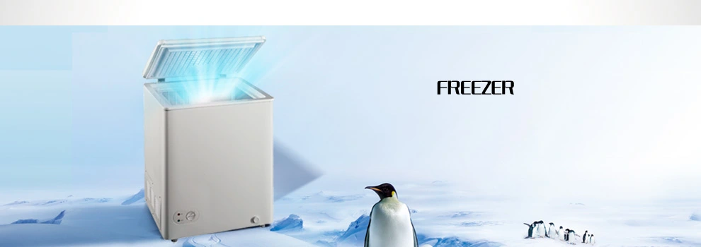 200L LPG Kerosene Power Absorption Free Standing Freezer From China