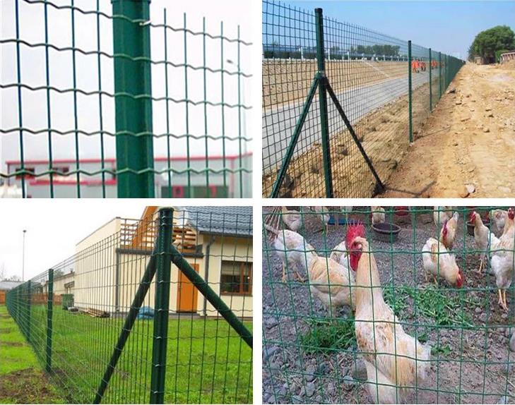 Galvanized steel wire and PVC coated Euro fence