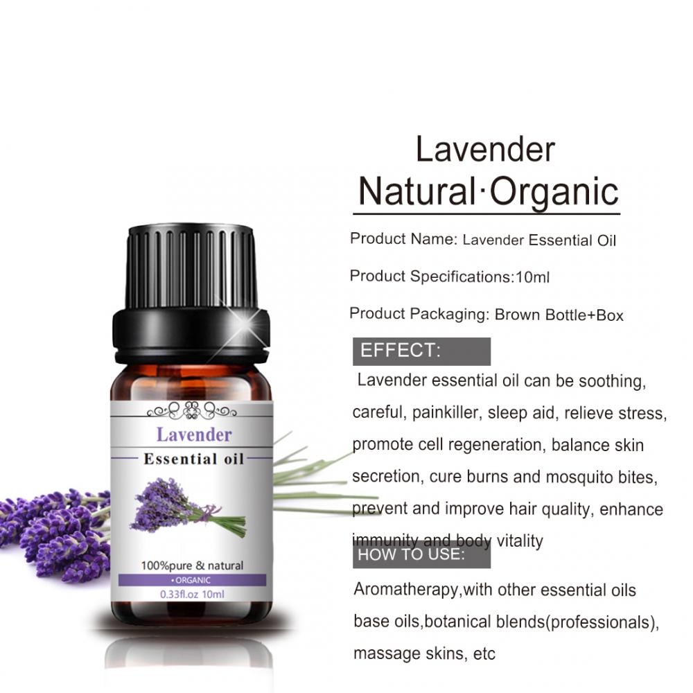 Großhandel Bio -Körpermassage Lavendel ätherisches Öl