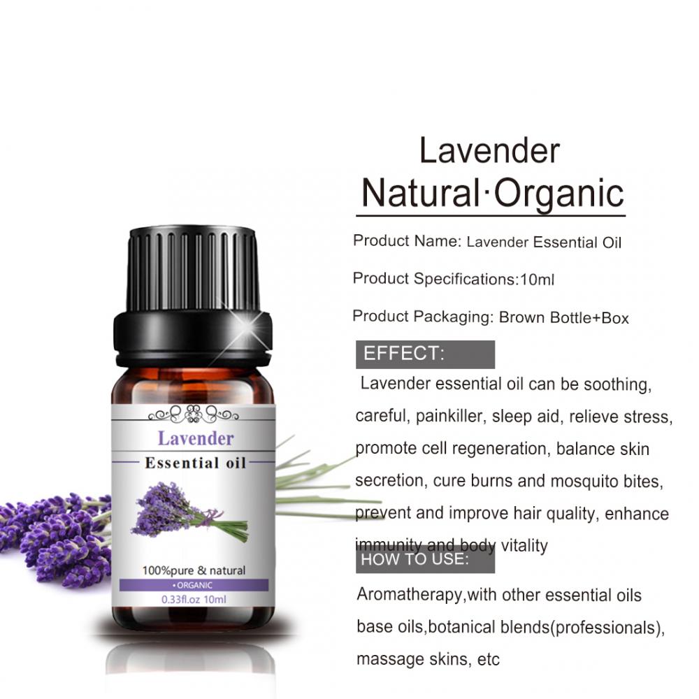 Wholesale Organic Body Massage Lavender Essential Oil