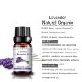 Grosir Minyak Esensial Pijat Lavender Lavender Grosir