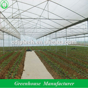 Vegetable Greenhouses for Sale