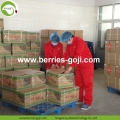 Approvisionnement en usine Fruits Nutrition saine Baies de Goji