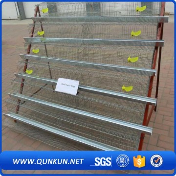 breeding cage/quail cages/feeding system/quail cages for sale