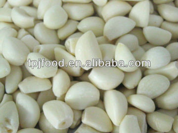 Best Price IQF garlic granular