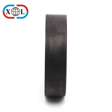 Injection Bonded Ferrite Magnet with Stator