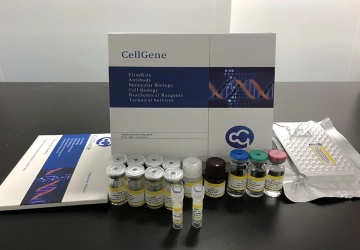 Human Chemokine (C-C motif) Ligand 18 ELISA kit