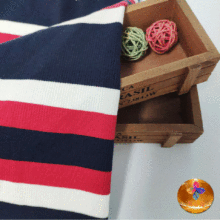 Striped Rib Fabric for Fashion Design