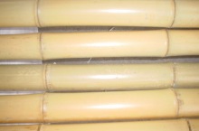 Natural Bamboo Post Bamboo Stake