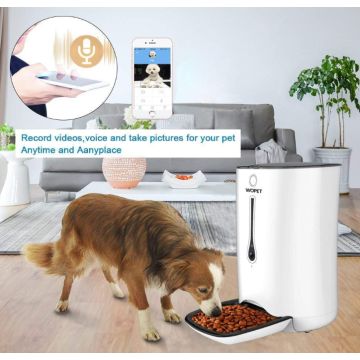 Wi-Fi включен Smart Pet Feeder