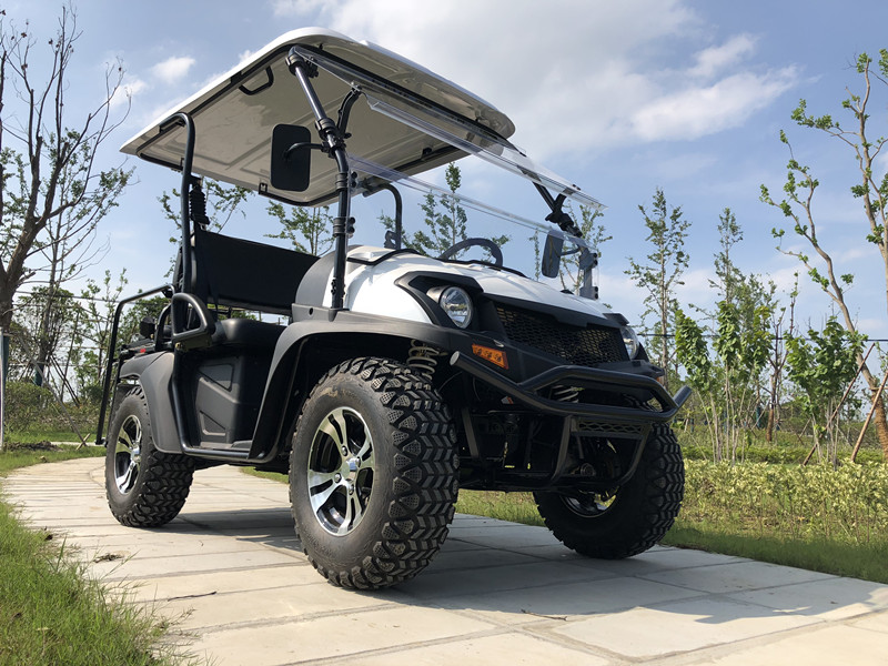 2021 Heißer Verkauf Hohe Qualität 5kw Electric UTV mit EWG