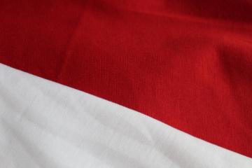 heavyweight cotton knit fabric