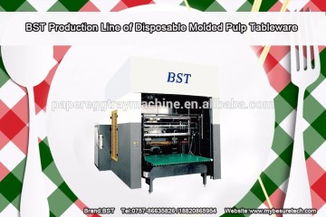 BeSure Tech TW10000 pulp molding paper plate making machine