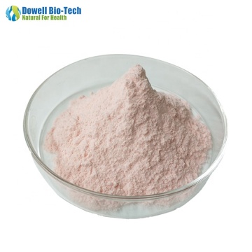 Wholesale Pure Watermelon Juice Powder With good quality