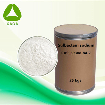 Médecine vétérinaire Poudre de sodium Sulbactam CAS 69388-84-7