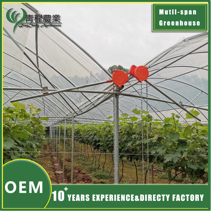 Высокаякасная шматпралётная цяпліца ад дажджу High Quality Multi Span Greenhouse Rain Shelter