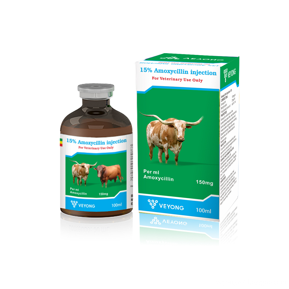 Amoxicillin mainly uses for treatment the infections caused by gram positive and negative bacteria which is susceptible to penicillin. Amoxicillin Injection is suitable to cure the diseases in poultry and livestock such as fevers, losses of appetite, constipation, short of breath and abdominal breath.