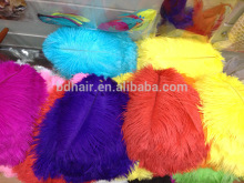 wholesale natural new design various colors ostrich feather for party decoration